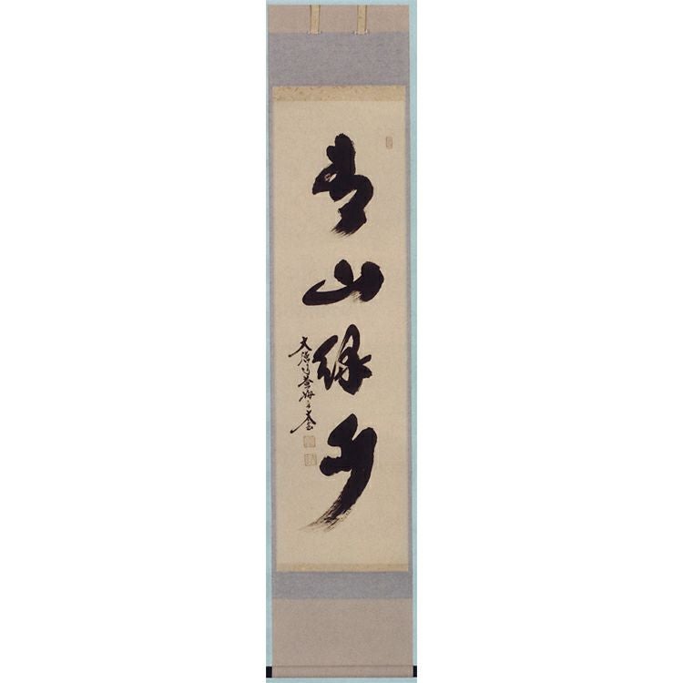 茶道具 軸 一行物 「青山緑水」 小林太玄師 軸