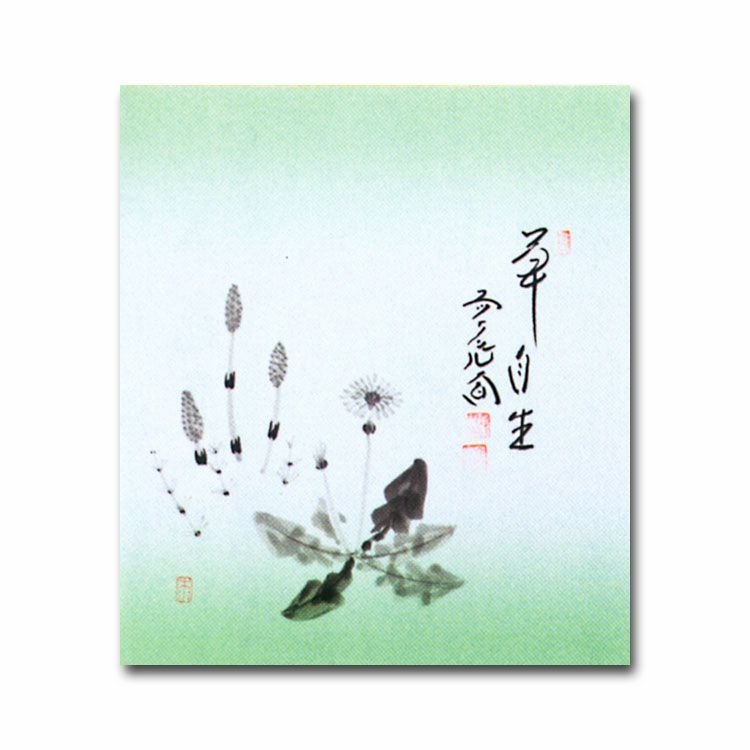 茶道具 色紙 画賛色紙禅語 4月 卯月 「草自生」 大徳寺派極楽寺 西垣