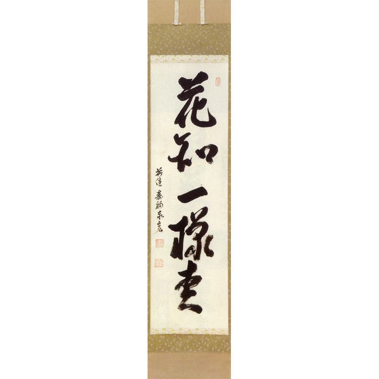 卯月（四月） 縦軸「花知一様春」 松濤秦宏（宗潤）和尚 【