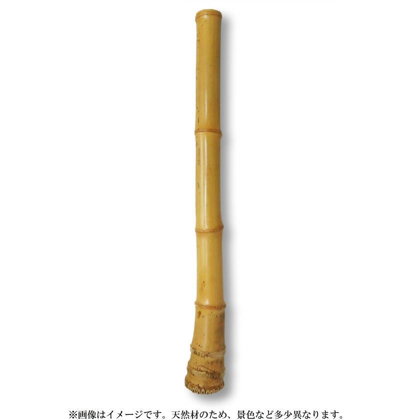 000000007168-01.jpg?size=xl&w=