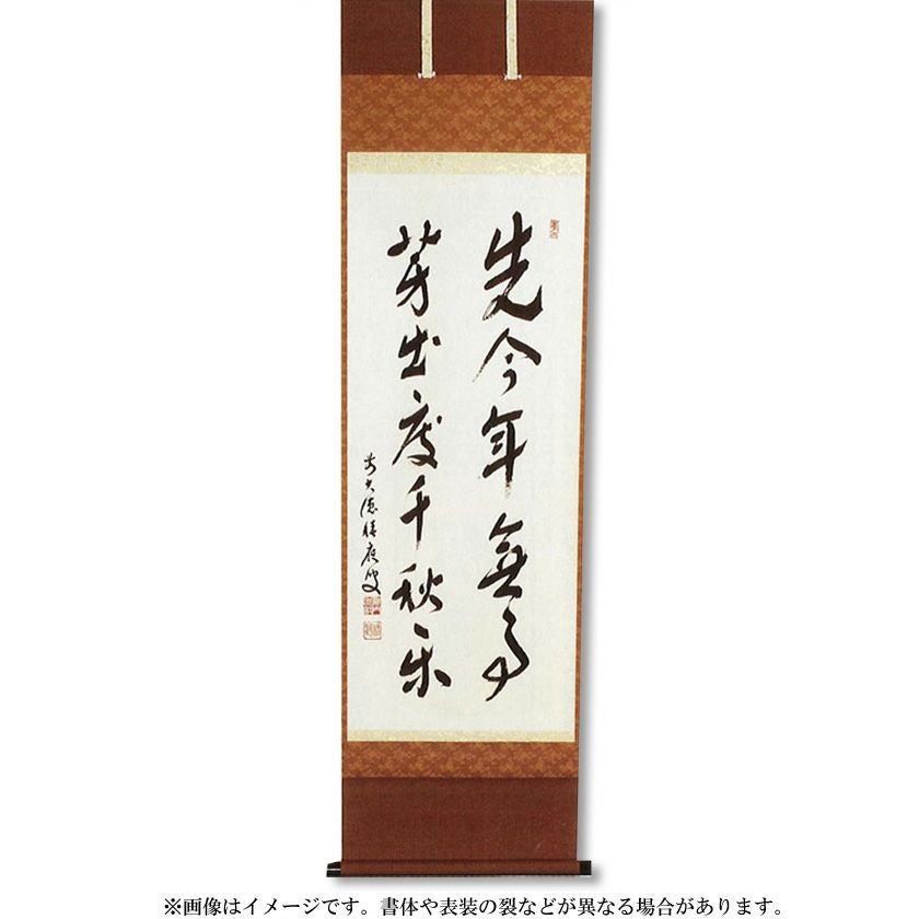 000000007915-01.jpg?size=xl&w=