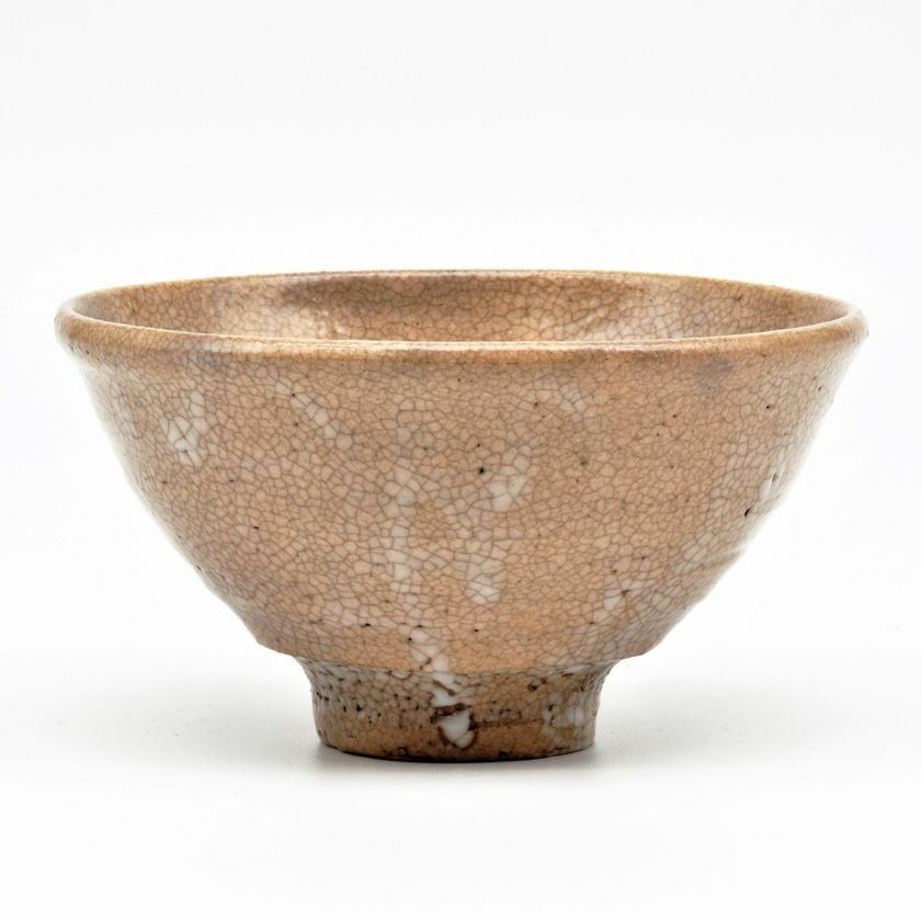 茶道具 抹茶茶碗（まっちゃちゃわん） 茶碗 大井戸「常夏」写 丸子窯