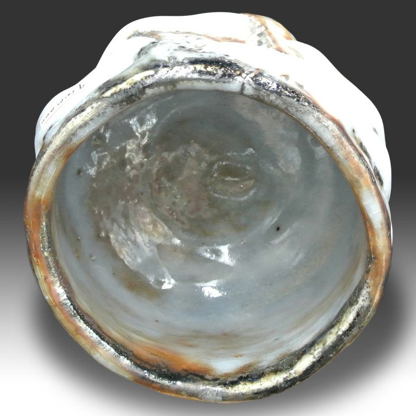 茶道具 抹茶茶碗（まっちゃちゃわん） 茶碗 金彩志野 大山 秀男 抹茶茶碗は茶の湯文化である表千家・裏千家の茶道具や抹茶を専門に扱う千紀園（せんきえん）が通販で販売しています。茶会また初心者向けのお稽古用にご利用いただける抹茶碗です。贈り物・ギフトにも人気です。