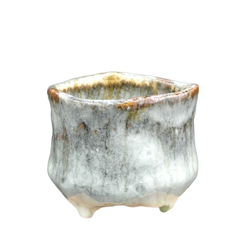 茶道具 抹茶茶碗（まっちゃちゃわん） 茶碗 窯変志野 大山 秀男 抹茶茶碗は茶の湯文化である表千家・裏千家の茶道具や抹茶を専門に扱う千紀園（せんきえん）が通販で販売しています。茶会また初心者向けのお稽古用にご利用いただける抹茶碗です。贈り物・ギフトにも人気です。