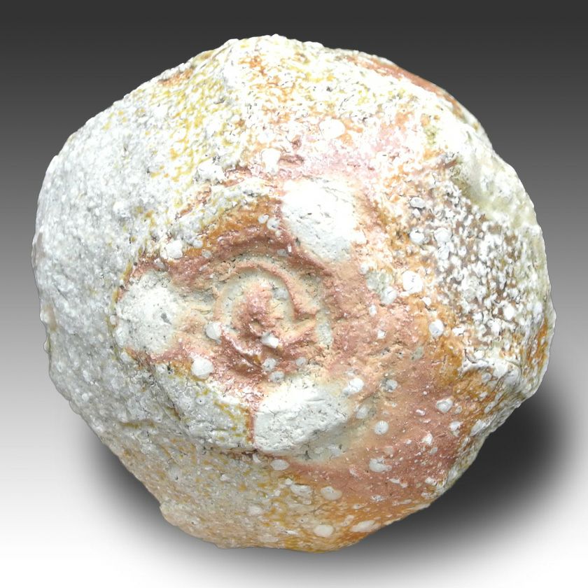 茶道具 抹茶茶碗（まっちゃちゃわん） 茶碗 信楽焼 大山 秀男 抹茶茶碗は茶の湯文化である表千家・裏千家の茶道具や抹茶を専門に扱う千紀園（せんきえん）が通販で販売しています。茶会また初心者向けのお稽古用にご利用いただける抹茶碗です。贈り物・ギフトにも人気です。