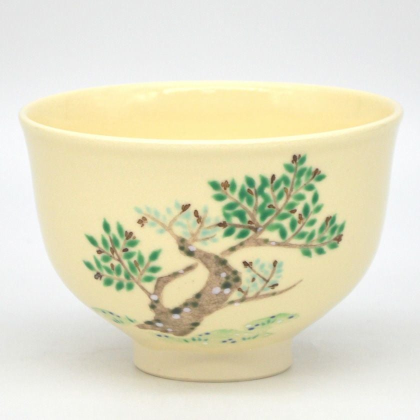 茶道具 抹茶茶碗（まっちゃちゃわん） 茶碗 宇治十帖 椎本 厳窯 | 千年
