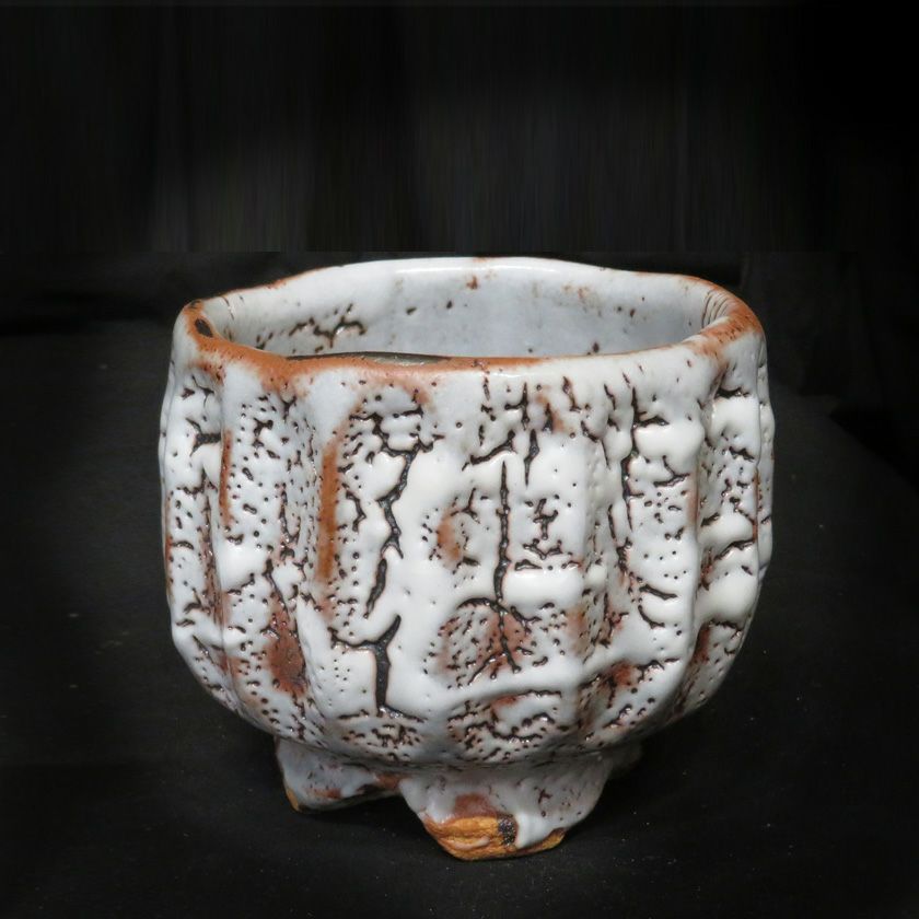 茶道具 抹茶茶碗（まっちゃちゃわん） ネズミ志野 シノギ 茶碗 信楽焼 灰塚窯 木戸 貞昭 抹茶茶碗は茶の湯文化である表千家・裏千家の茶道具や抹茶を専門に扱う千紀園（せんきえん）が通販で販売しています。茶会また初心者向けのお稽古用にご利用いただける抹茶碗です。贈り物・ギフトにも人気です。