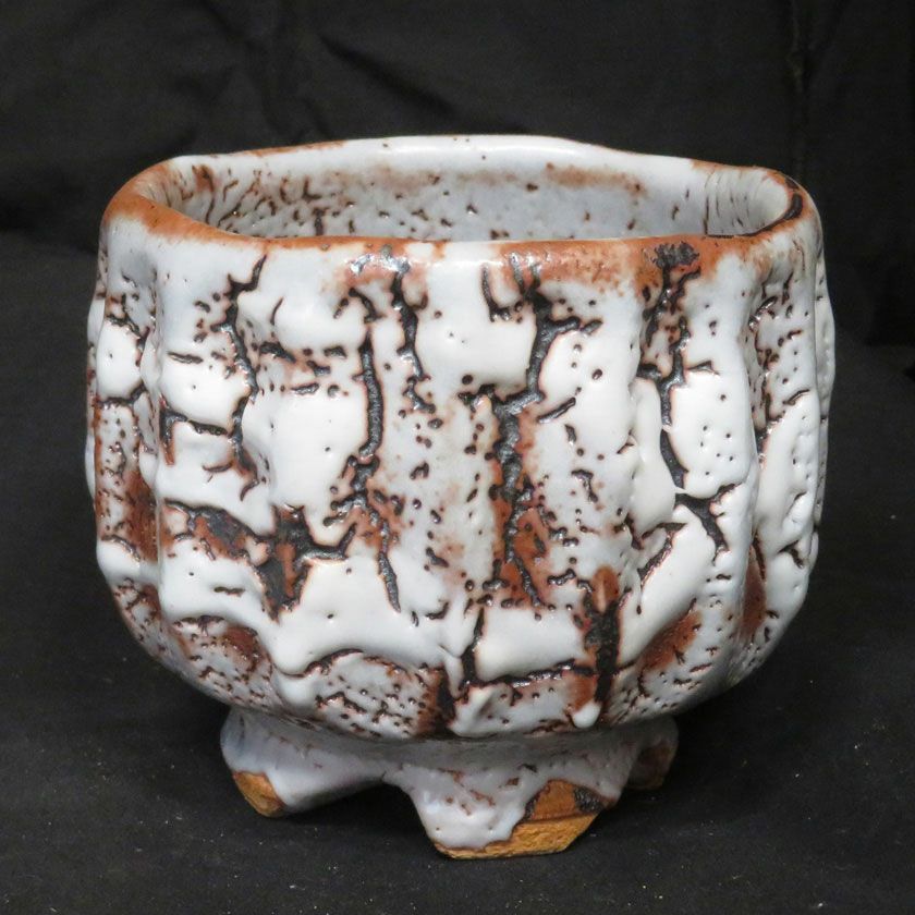 茶道具 抹茶茶碗（まっちゃちゃわん） ネズミ志野 シノギ 茶碗 信楽焼