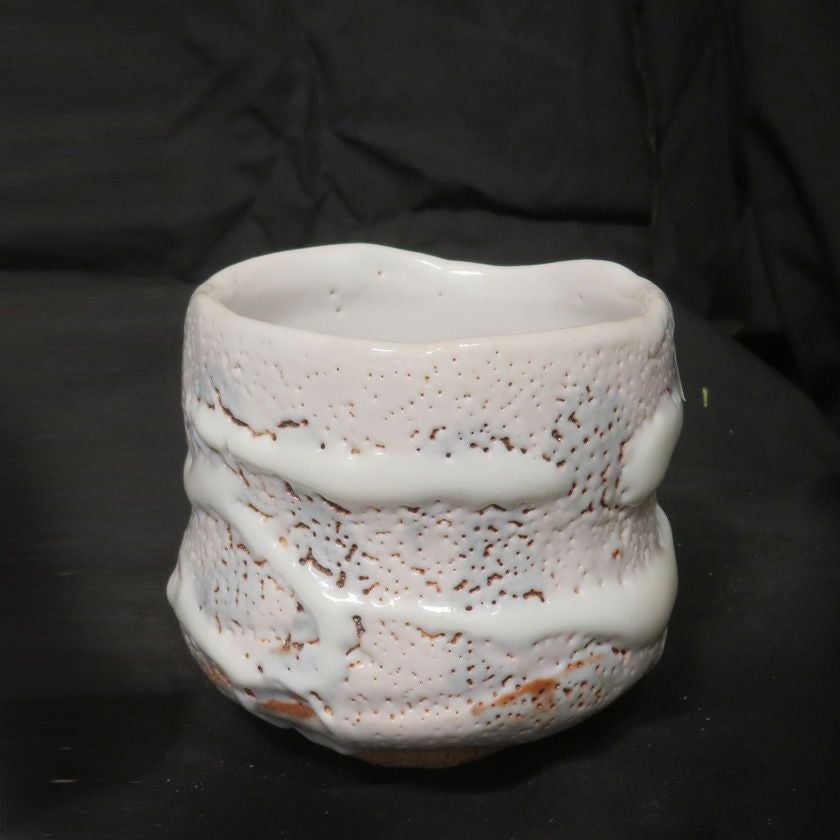 木戸貞昭 伊賀茶碗 茶道具 抹茶茶碗（まっちゃちゃわん） 絵志野 茶碗 信楽焼 灰塚窯 木戸