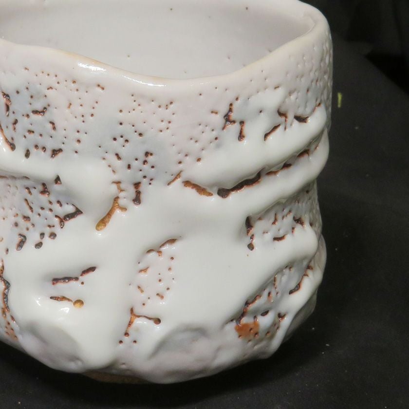 茶道具 抹茶茶碗（まっちゃちゃわん） 絵志野 茶碗 信楽焼 灰塚窯 木戸