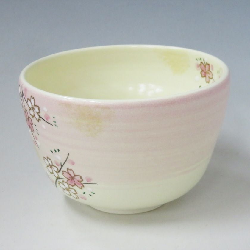 茶道具 抹茶茶碗（まっちゃちゃわん） 茶碗 色絵 河津桜にメジロ 八木