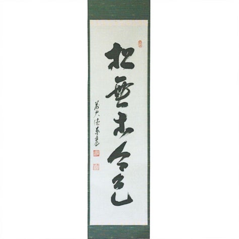 茶道具 掛軸（かけじく） 一行軸 「松無古今色」 大徳寺派寿福禅寺 