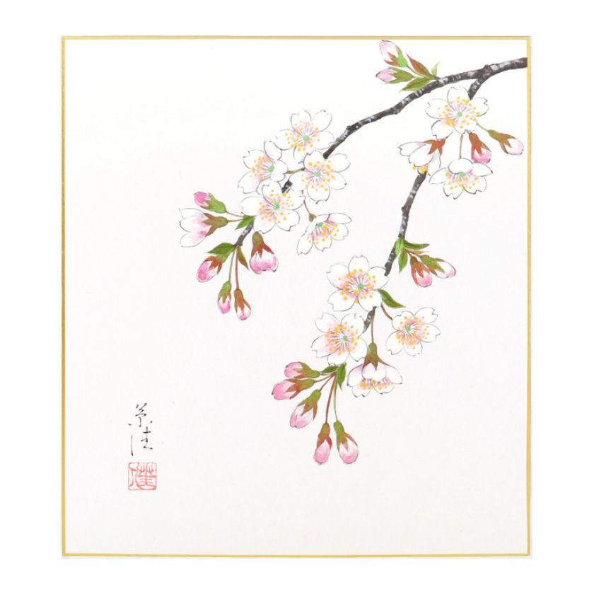K茶道具　時代掛軸「桜馬図」　画:桜妙作　讃:忠香作　自作桐箱　S175KJ 茶道具 色紙（しきし）・色紙掛（しきしかけ） 自画色紙 「桜の図