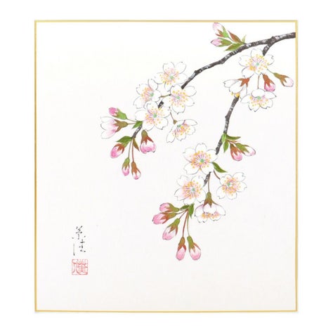 茶道具 色紙（しきし）・色紙掛（しきしかけ） 自画色紙 「桜の図 