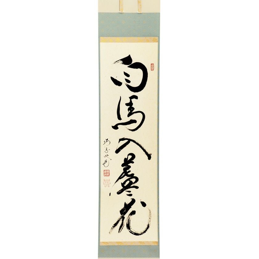 【掛軸】五島青滝「春蘭之図」共箱 二重箱 茶掛 画賛 花 茶道具 茶道具 掛軸（かけじく） 軸一行 「白馬入蘆花」 田島碩應老師 堺南宗